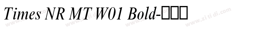 Times NR MT W01 Bold字体转换